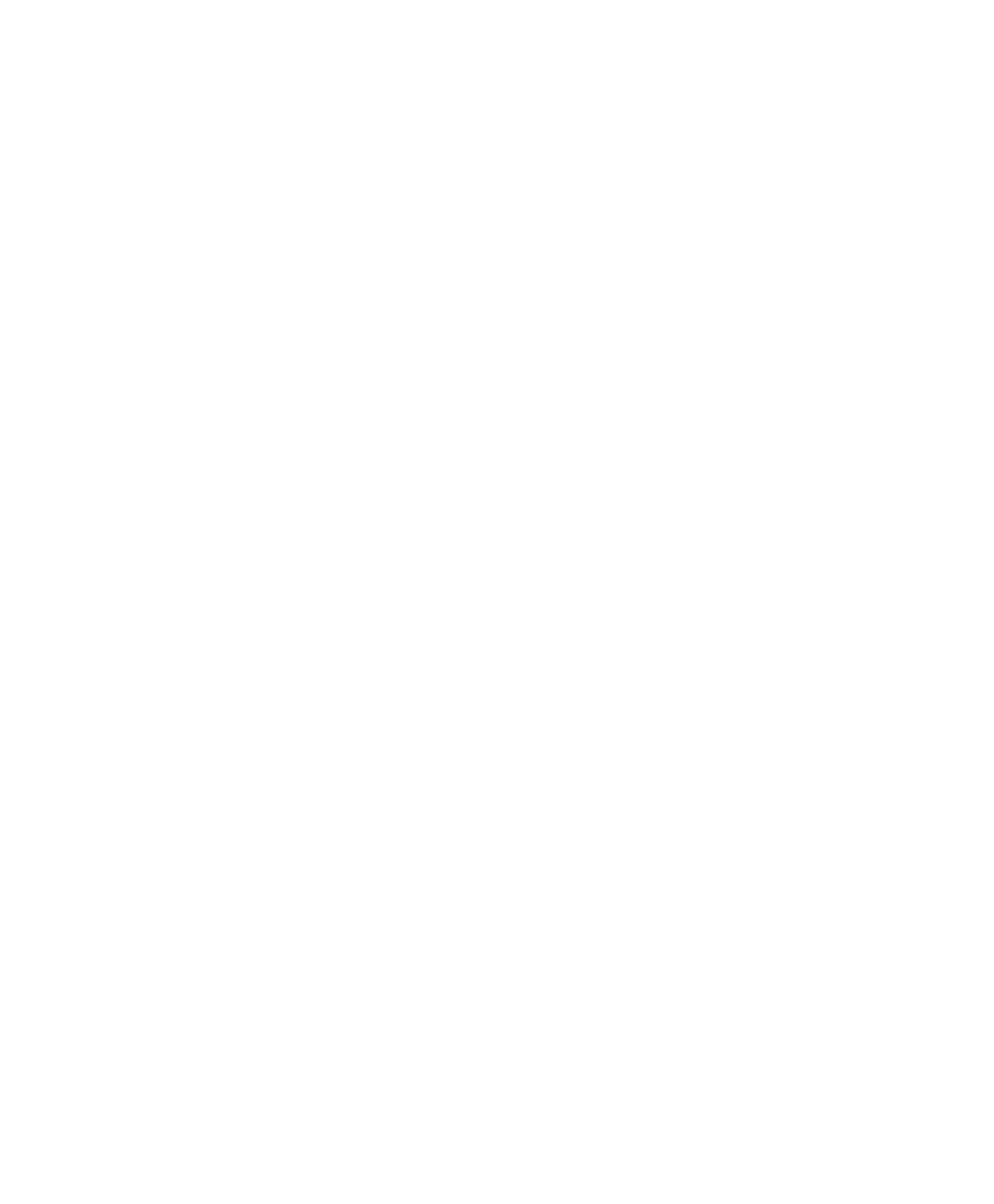 1964 Freedom Summer Trail 